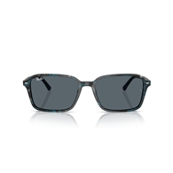 RAY-BAN RB2231 - 1417R5 RAIMOND