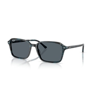 RAY-BAN RB2231 - 1417R5 RAIMOND