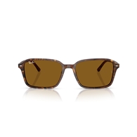 RAY-BAN RB2231 - 141833 RAIMOND
