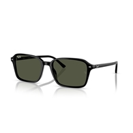 RAY-BAN RB2231 - 901/31 RAIMOND