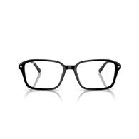 RAY-BAN RB2231 - 901/GG RAIMOND