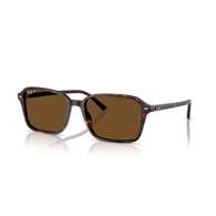 RAY-BAN RB2231 - 902/57 RAIMOND