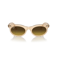 RAY-BAN RB2242 - 138685 WAYFARER OVAL