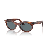 RAY-BAN RB2242 - 954/3R WAYFARER OVAL
