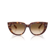 RAY-BAN RB2286 - 141451 DOREEN