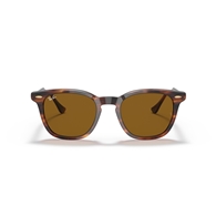 RAY-BAN RB2298 - 954/33 HAWKEYE
