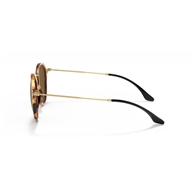 RAY-BAN RB2447 - 1160 ROUND