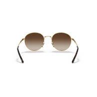 RAY-BAN RB3681 - 001/13