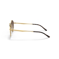 RAY-BAN RB3681 - 001/13