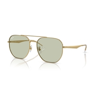 RAY-BAN RB3724D - 001/2