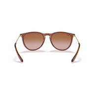RAY-BAN RB4171 - 659013 ERIKA