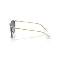 RAY-BAN RB4171 - 67434L ERIKA
