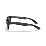 RAY-BAN RB4202 - 606971 ANDY