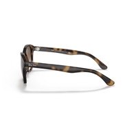 RAY-BAN RB4203 - 710/13