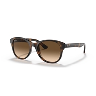 RAY-BAN RB4203 - 710/13