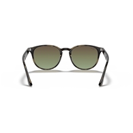 RAY-BAN RB4259 - 731/E8