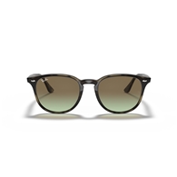 RAY-BAN RB4259 - 731/E8