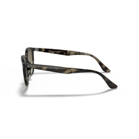 RAY-BAN RB4259 - 731/E8