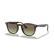 RAY-BAN RB4259 - 731/E8