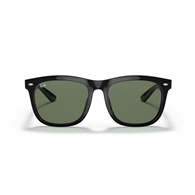 RAY-BAN RB4260D - 601/71