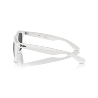 RAY-BAN RB4260D - 671/87