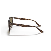 RAY-BAN RB4305 - 710/73