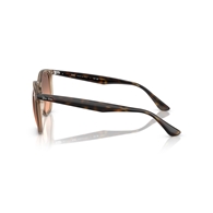 RAY-BAN RB4306 - 678846