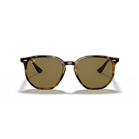 RAY-BAN RB4306 - 710/73