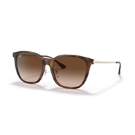 RAY-BAN RB4333D - 710/13