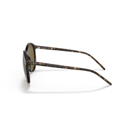 RAY-BAN RB4371 - 710/73