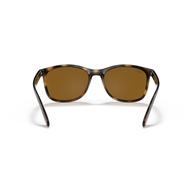 RAY-BAN RB4374 - 710/33