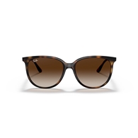 RAY-BAN RB4378 - 710/13