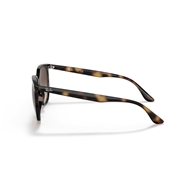 RAY-BAN RB4378 - 710/13