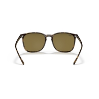 RAY-BAN RB4387 - 710/73