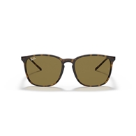RAY-BAN RB4387 - 710/73