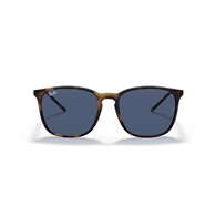 RAY-BAN RB4387 - 710/80