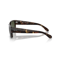 RAY-BAN RB4388 - 710/31