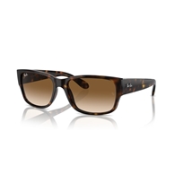 RAY-BAN RB4388 - 710/51