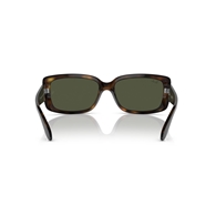 RAY-BAN RB4389 - 710/31