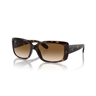 RAY-BAN RB4389 - 710/51