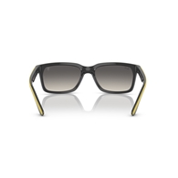 RAY-BAN RB4393M - F62411