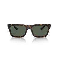 RAY-BAN RB4396 - 135971 WARREN