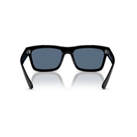 RAY-BAN RB4396 - 667780 WARREN