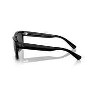 RAY-BAN RB4396 - 667787 WARREN