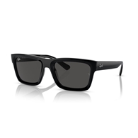 RAY-BAN RB4396 - 667787 WARREN