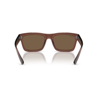 RAY-BAN RB4396 - 667873 WARREN