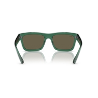 RAY-BAN RB4396 - 6681/3 WARREN