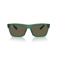 RAY-BAN RB4396 - 6681/3 WARREN
