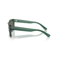 RAY-BAN RB4396 - 6681/3 WARREN