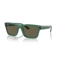 RAY-BAN RB4396 - 6681/3 WARREN